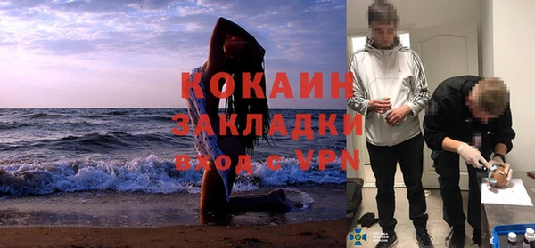 прущая мука Арсеньев