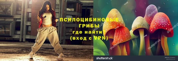 прущая мука Арсеньев