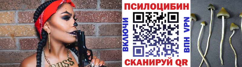 blacksprut ONION Минусинск это формула Псилоцибиновые грибы Magic Shrooms