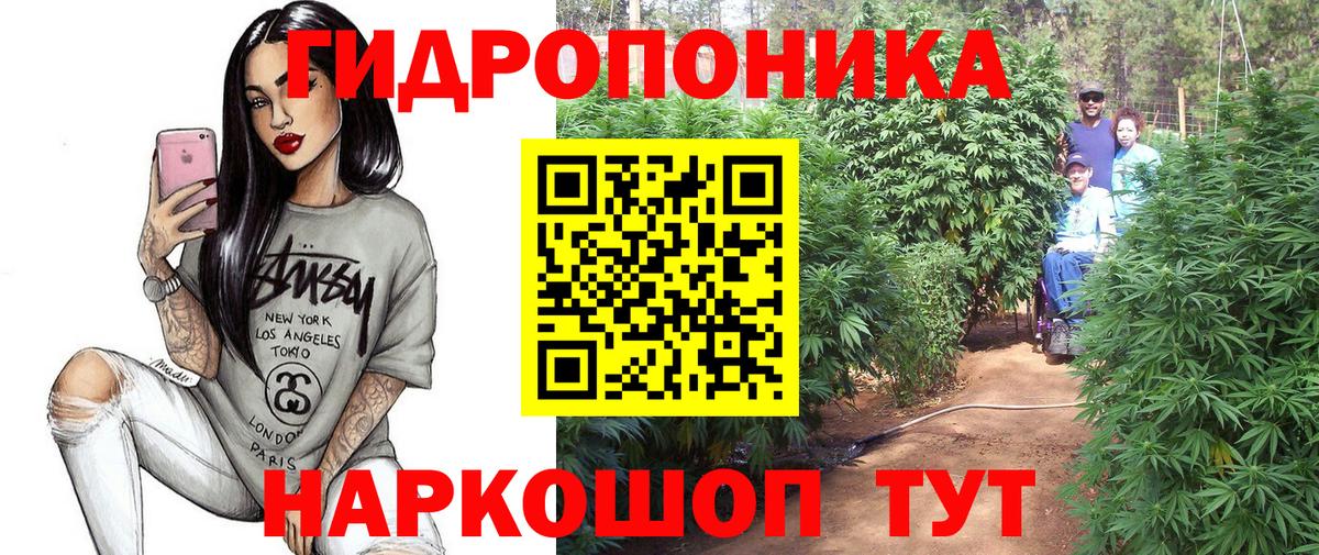 Бошки марихуана планчик Минусинск